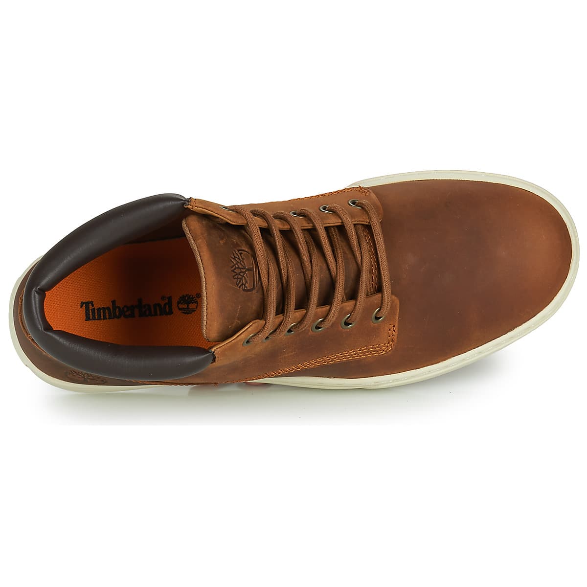 Men's Sneakers Timberland Brown