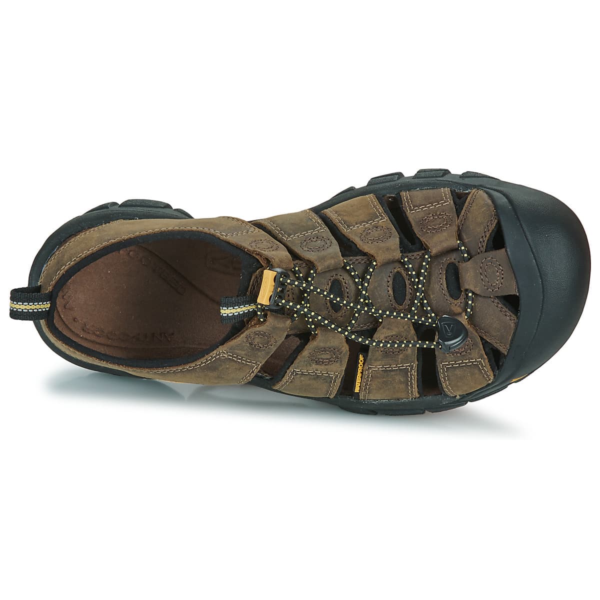 Men's Sports Sandals Keen Brown