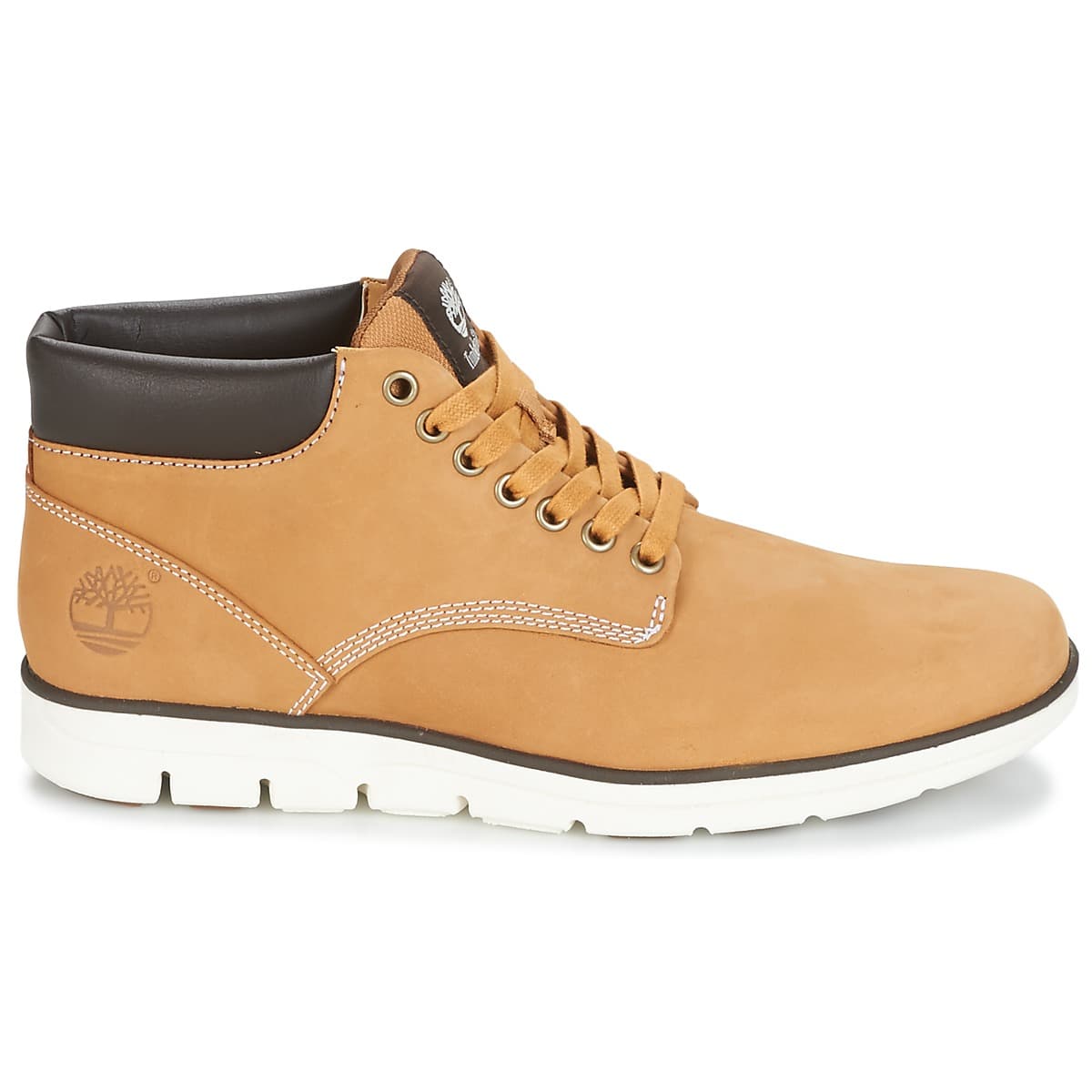 Men's Sneakers Timberland Brown