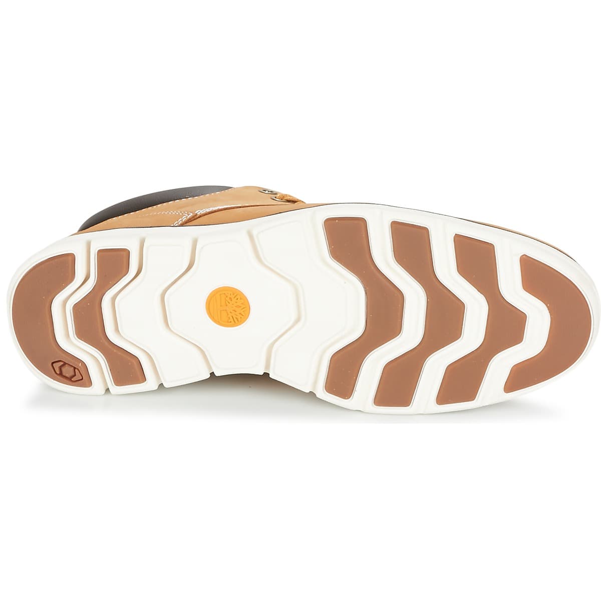 Men's Sneakers Timberland Brown