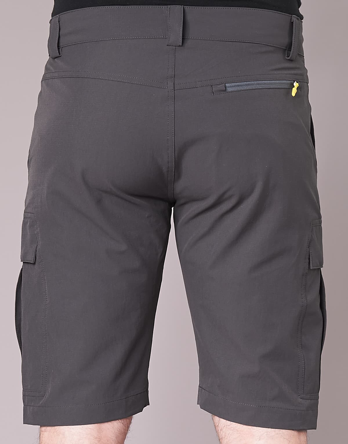 Men's Shorts Helly Hansen Gray