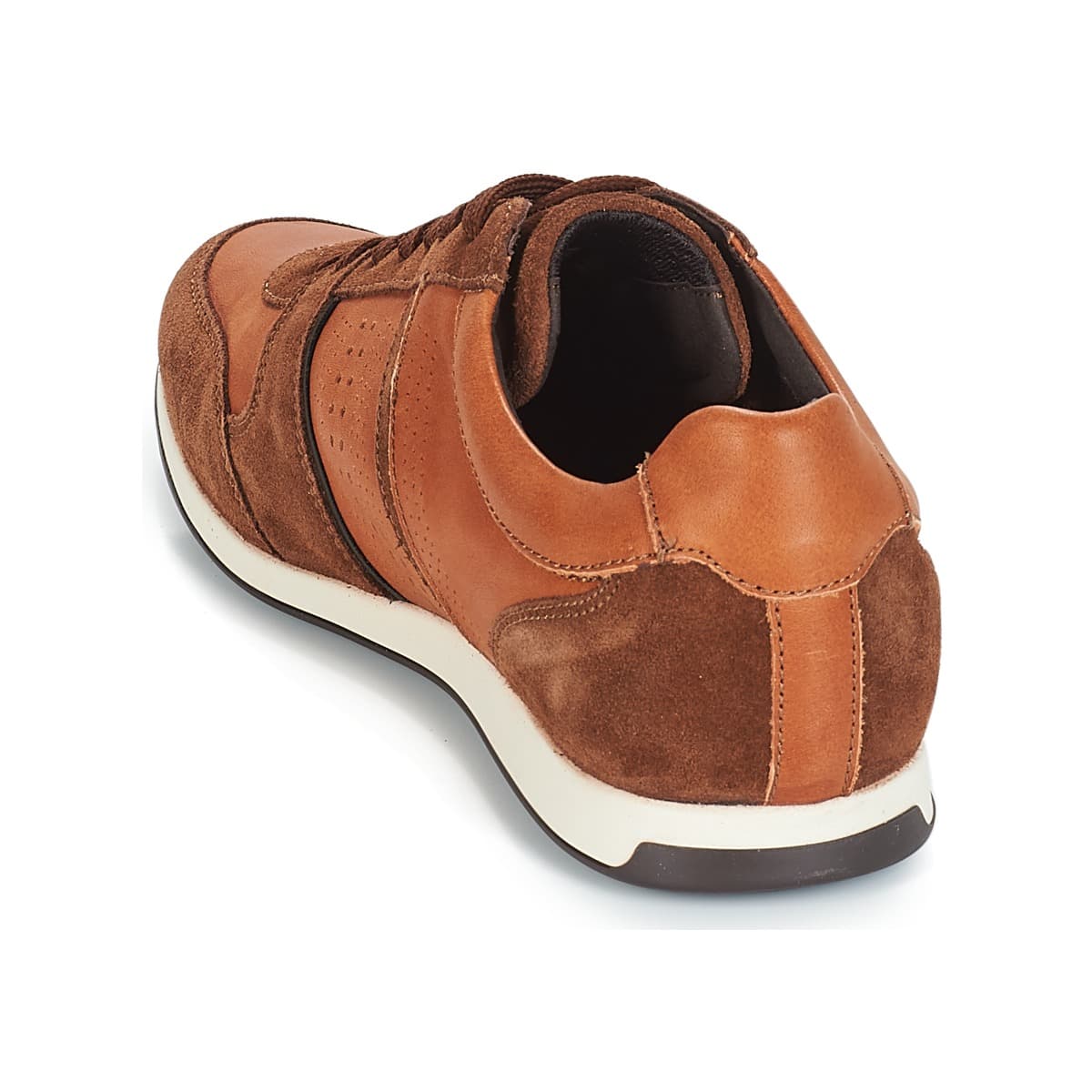 Men's Sneakers Geox Brown