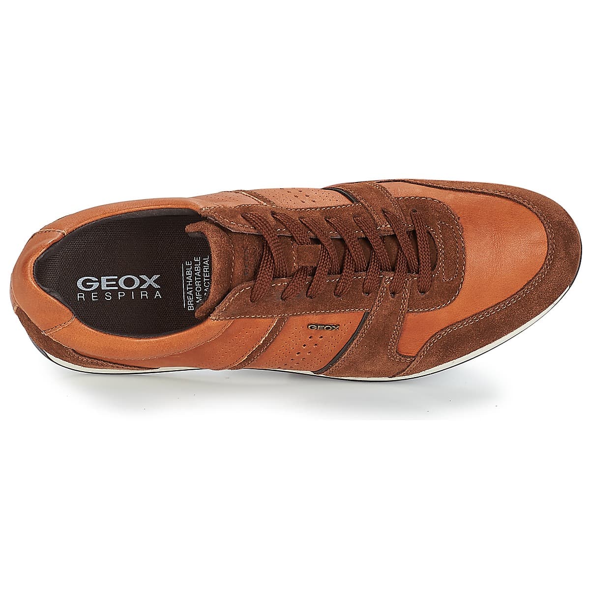 Men's Sneakers Geox Brown