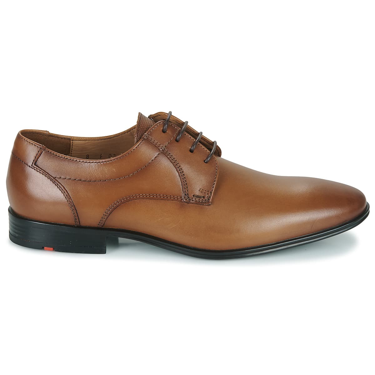 Men's Derby Shoes Lloyd Brown