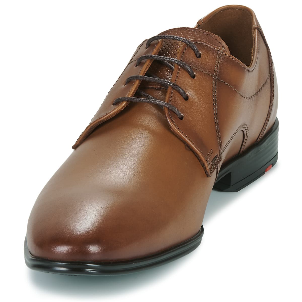 Men's Derby Shoes Lloyd Brown
