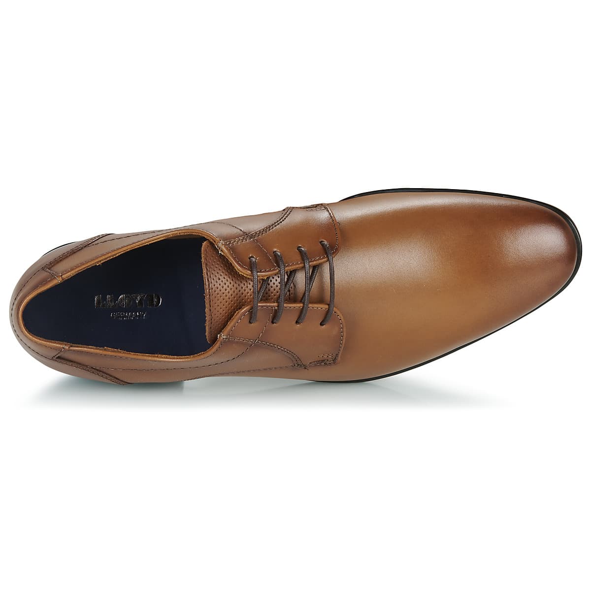 Men's Derby Shoes Lloyd Brown