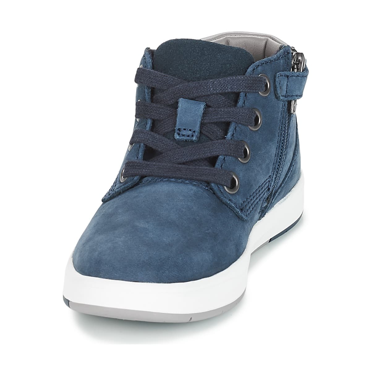 Boys' Sneakers Timberland Blue