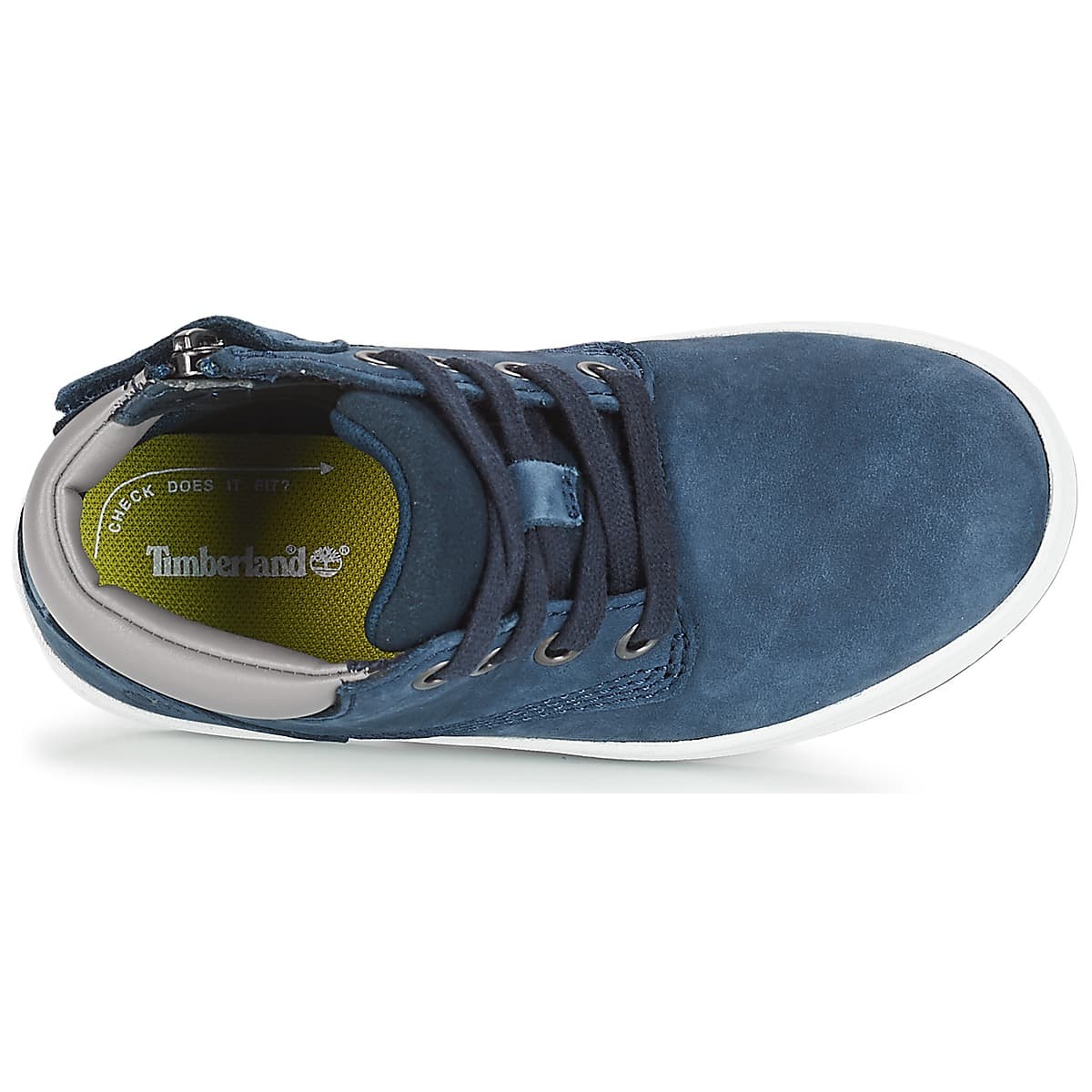 Boys' Sneakers Timberland Blue