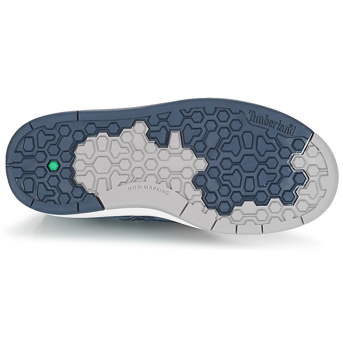 Boys' Sneakers Timberland Blue