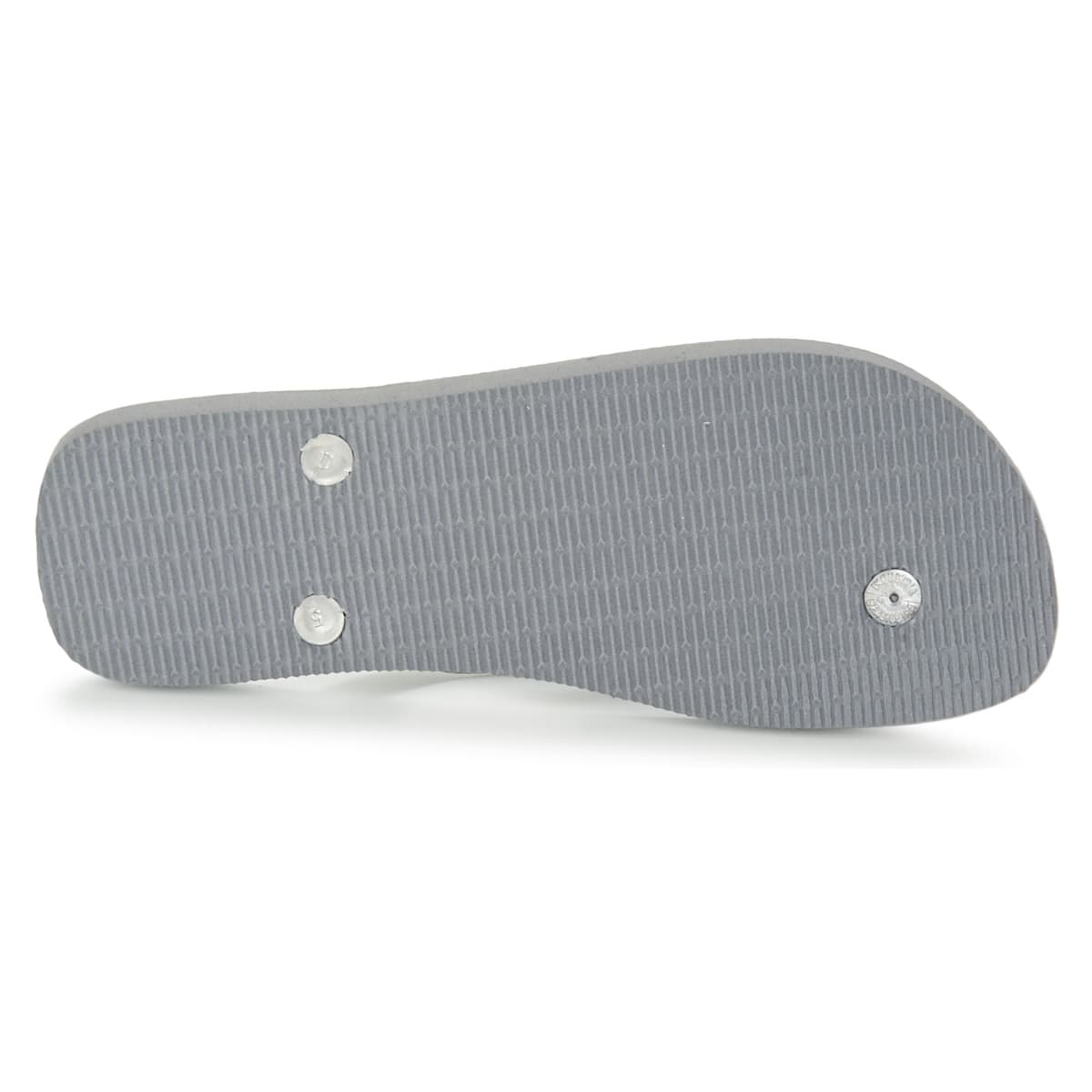 Women's Flip Flops Havaianas Gray