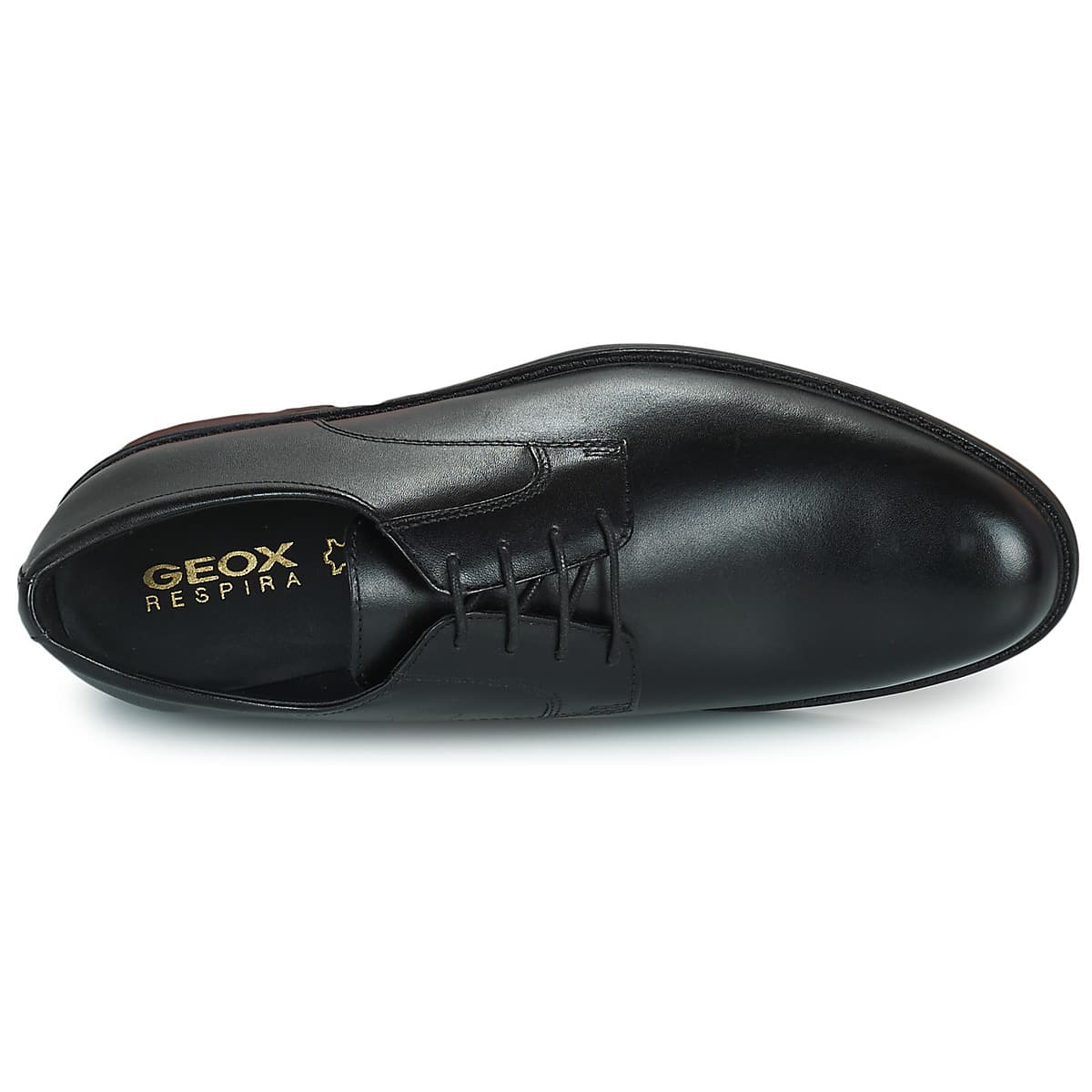 Men's Derby Shoes Geox Black