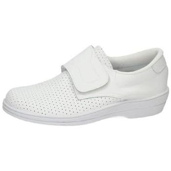 Εργασίας Percla -