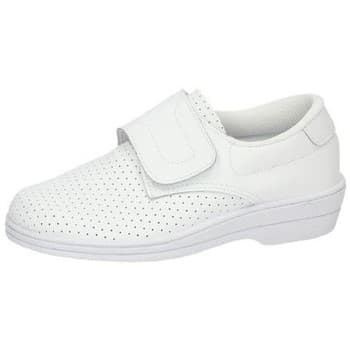 Εργασίας Percla -