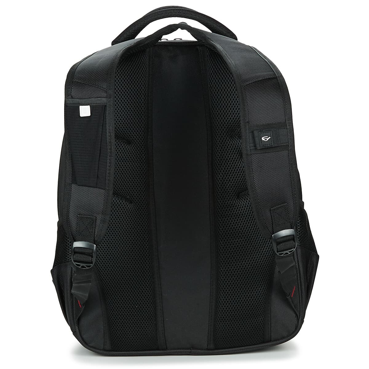 Women's Backpacks David Jones Black