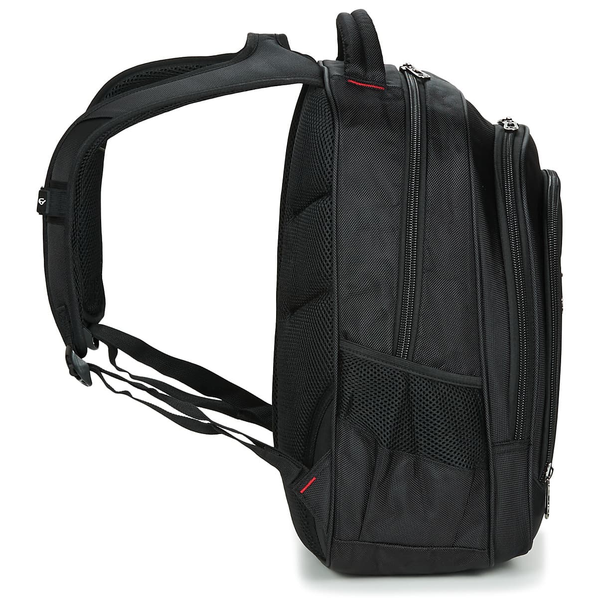 Women's Backpacks David Jones Black