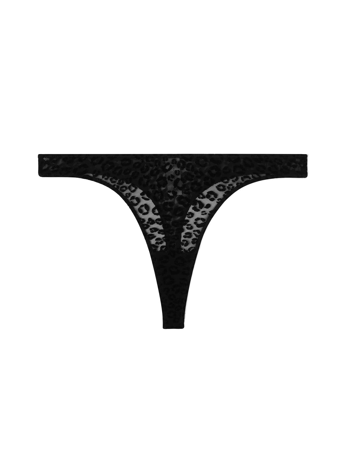Women's Underwear Understatement Multicolor