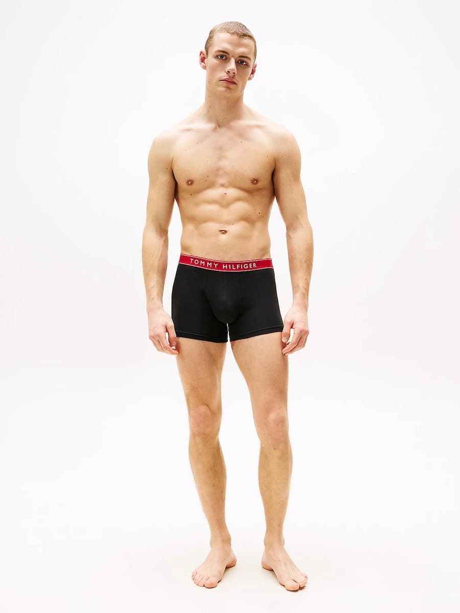 Men's Underwear Tommy Hilfiger Black