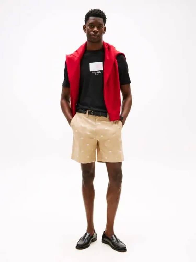 Ανδρικό T-shirt Μαύρο Tommy Hilfiger MW0MW39349-BDS