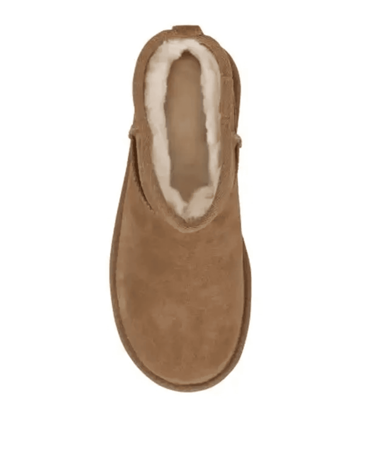 Women's Boots UGG Brown