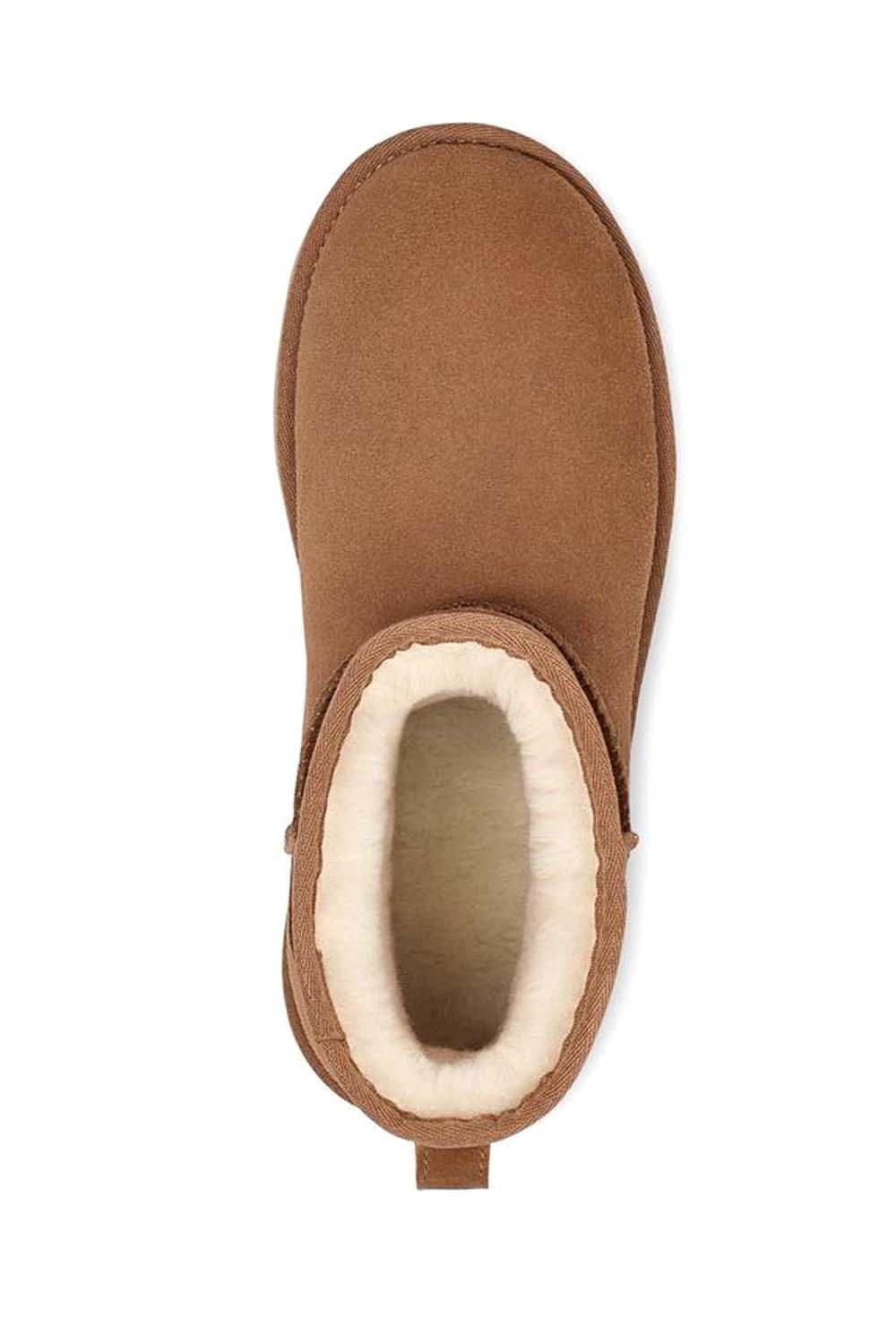Women's Boots Ugg Brown