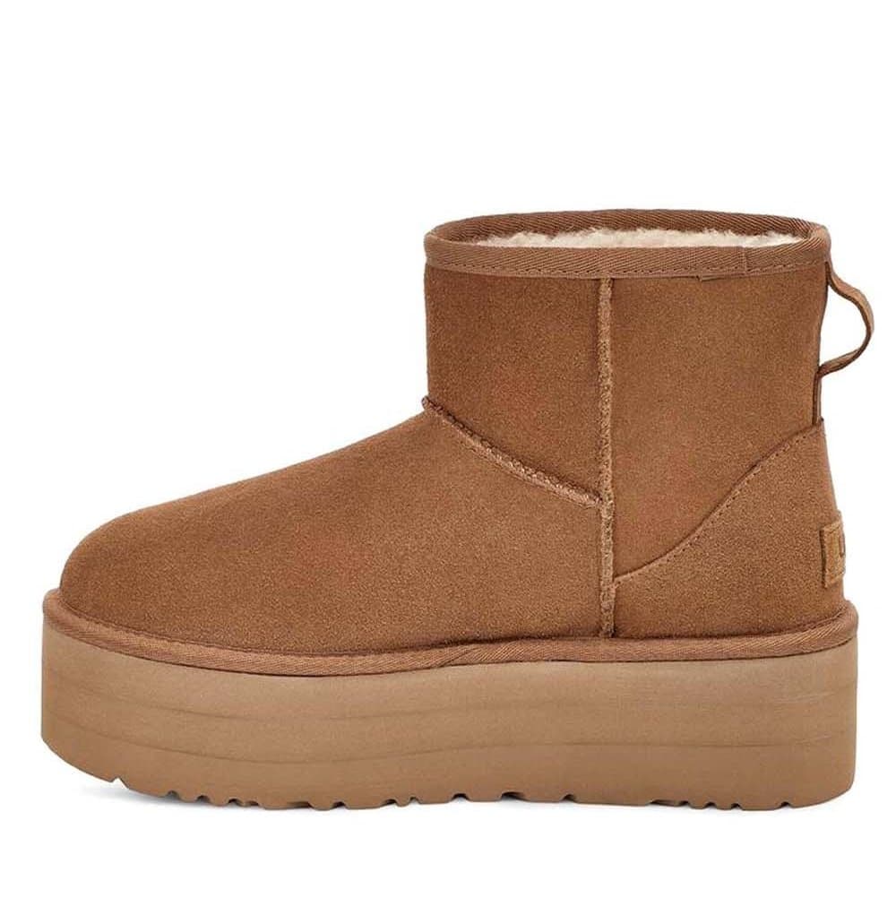 Women's Boots Ugg Brown