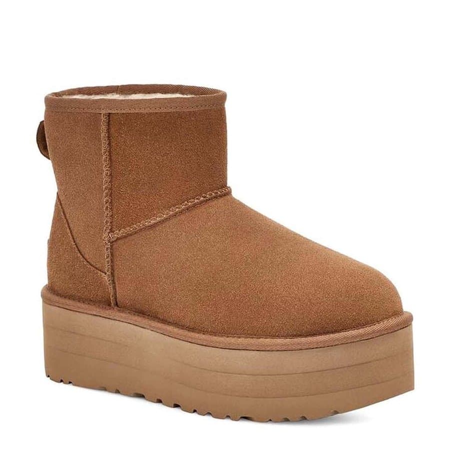 Women's Boots Ugg Brown