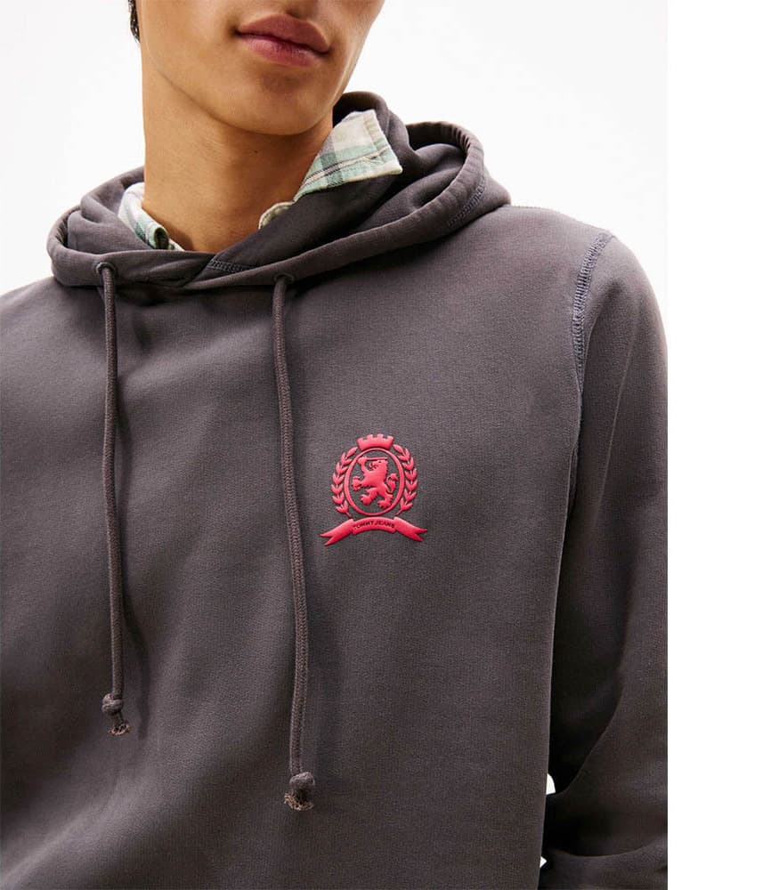 Ανδρικό Φούτερ Μαύρο Tommy Jeans DM0DM22085-BDS