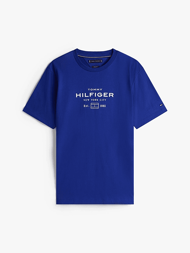 Ανδρικό T-shirt Μπλε Tommy Hilfiger MW0MW40002-D03