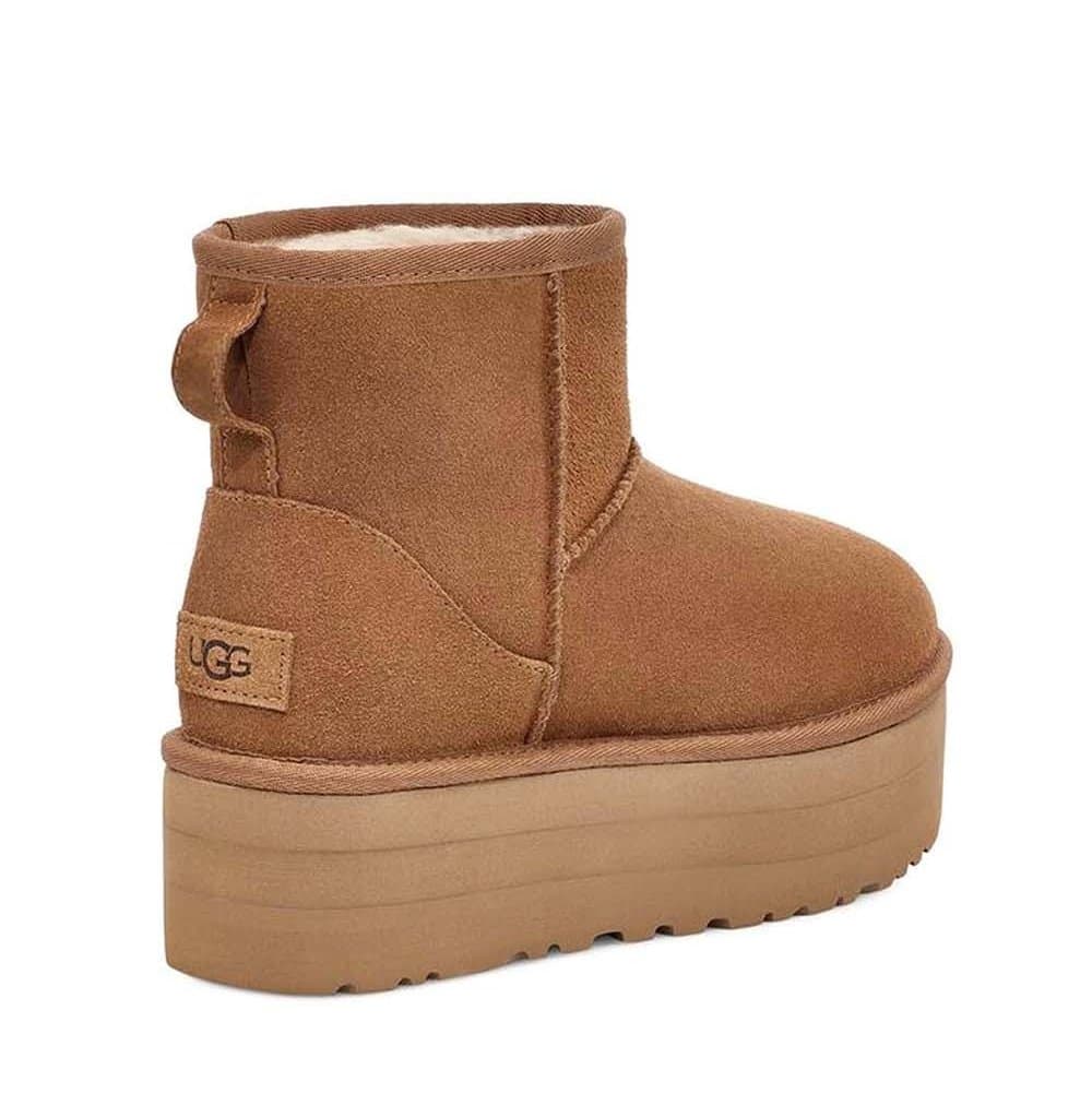 Women's Boots Ugg Brown