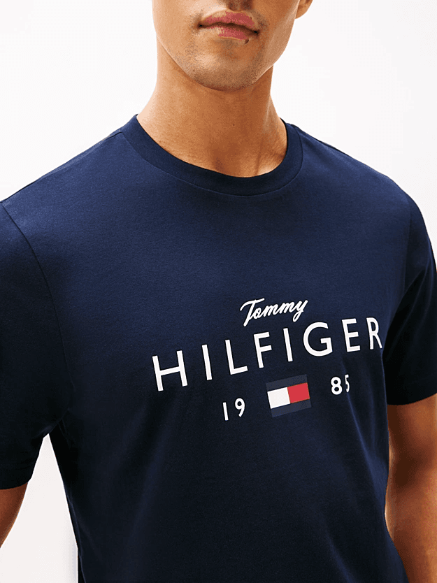 Men's T-Shirts Tommy Hilfiger Blue