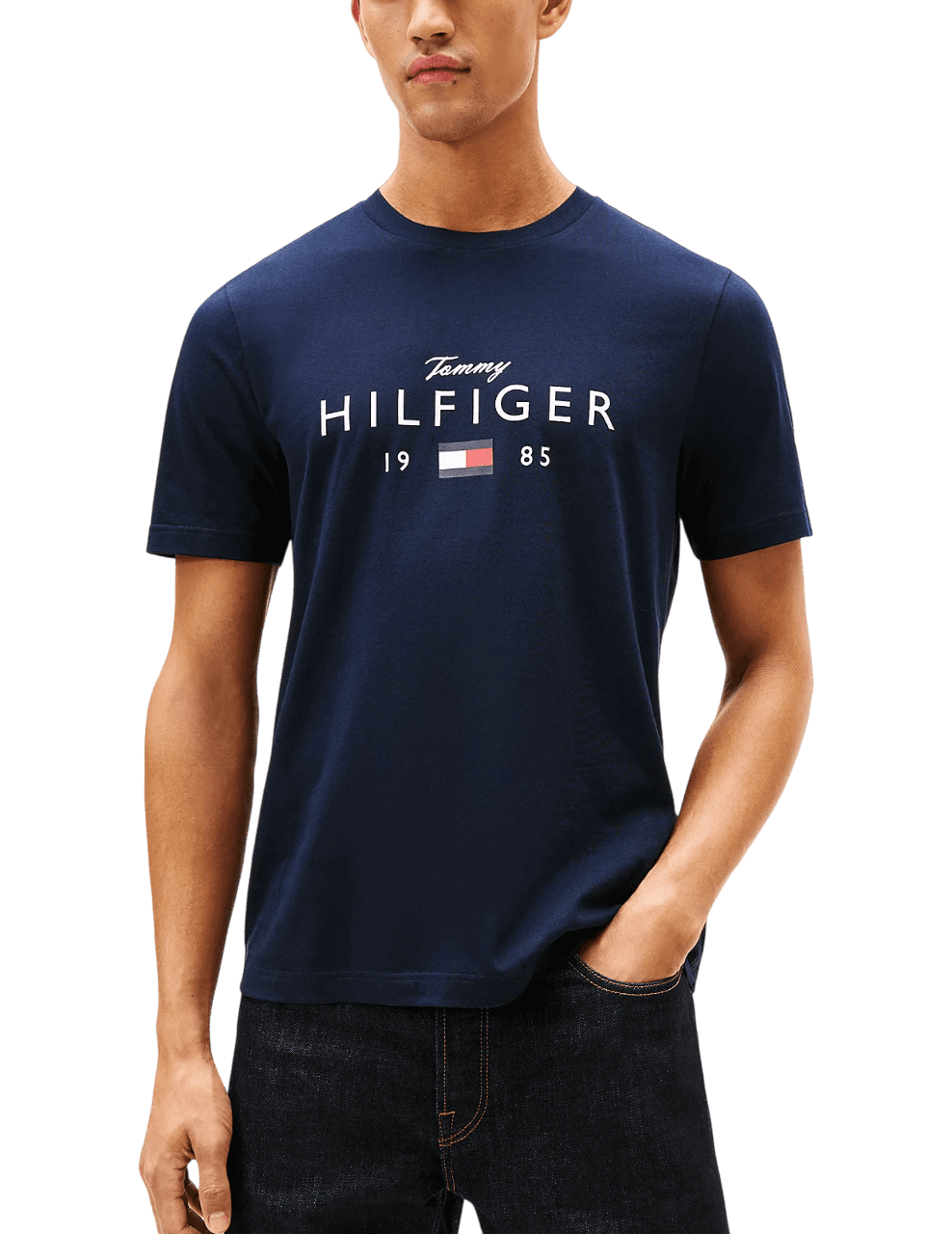 Ανδρικό T-shirt Πράσινο Tommy Hilfiger MW0MW41455-L01