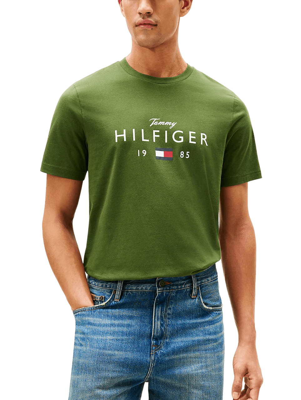 Ανδρικό T-shirt Πράσινο Tommy Hilfiger MW0MW41455-L01