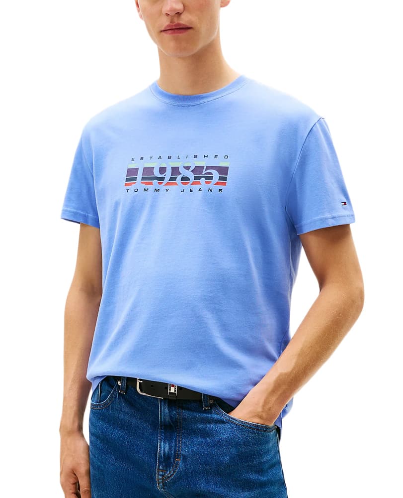 Ανδρικό T-shirt Γαλάζιο Tommy Jeans DM0DM22307-C58