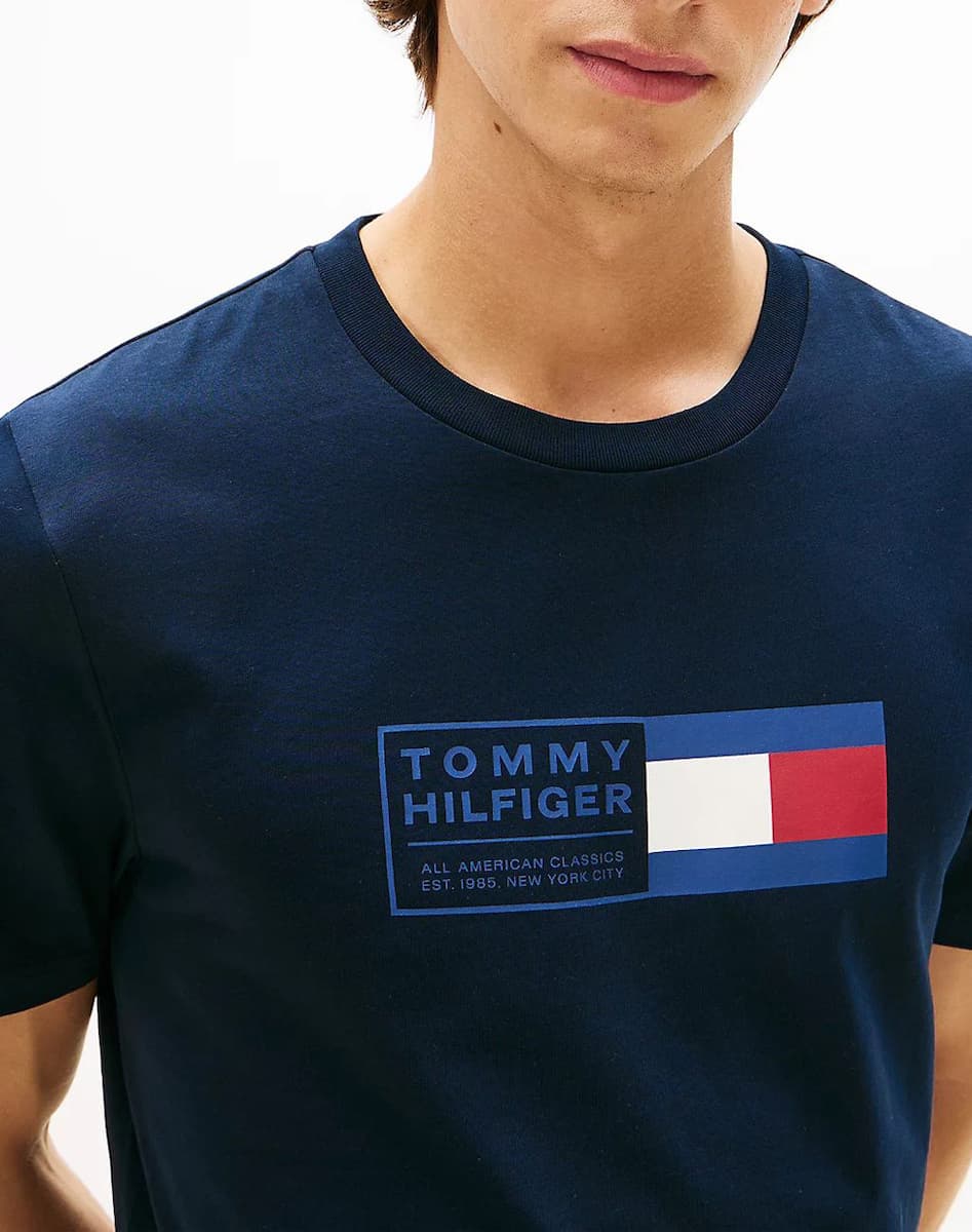 Men's T-Shirts Tommy Hilfiger Blue