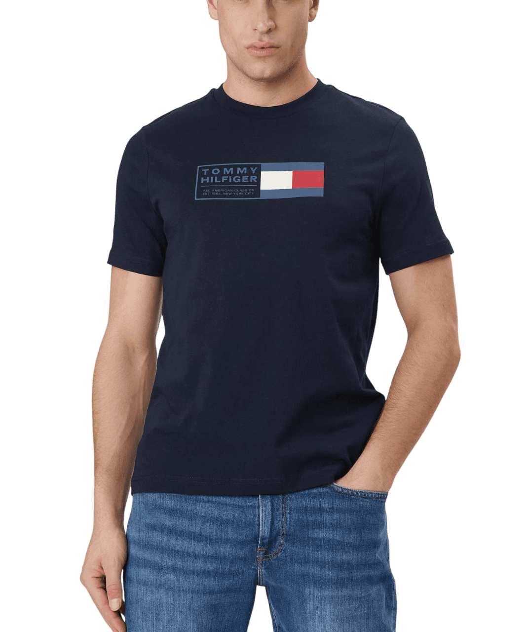 Ανδρικό T-shirt Navy Μπλε Tommy Hilfiger MW0MW42366-DW5