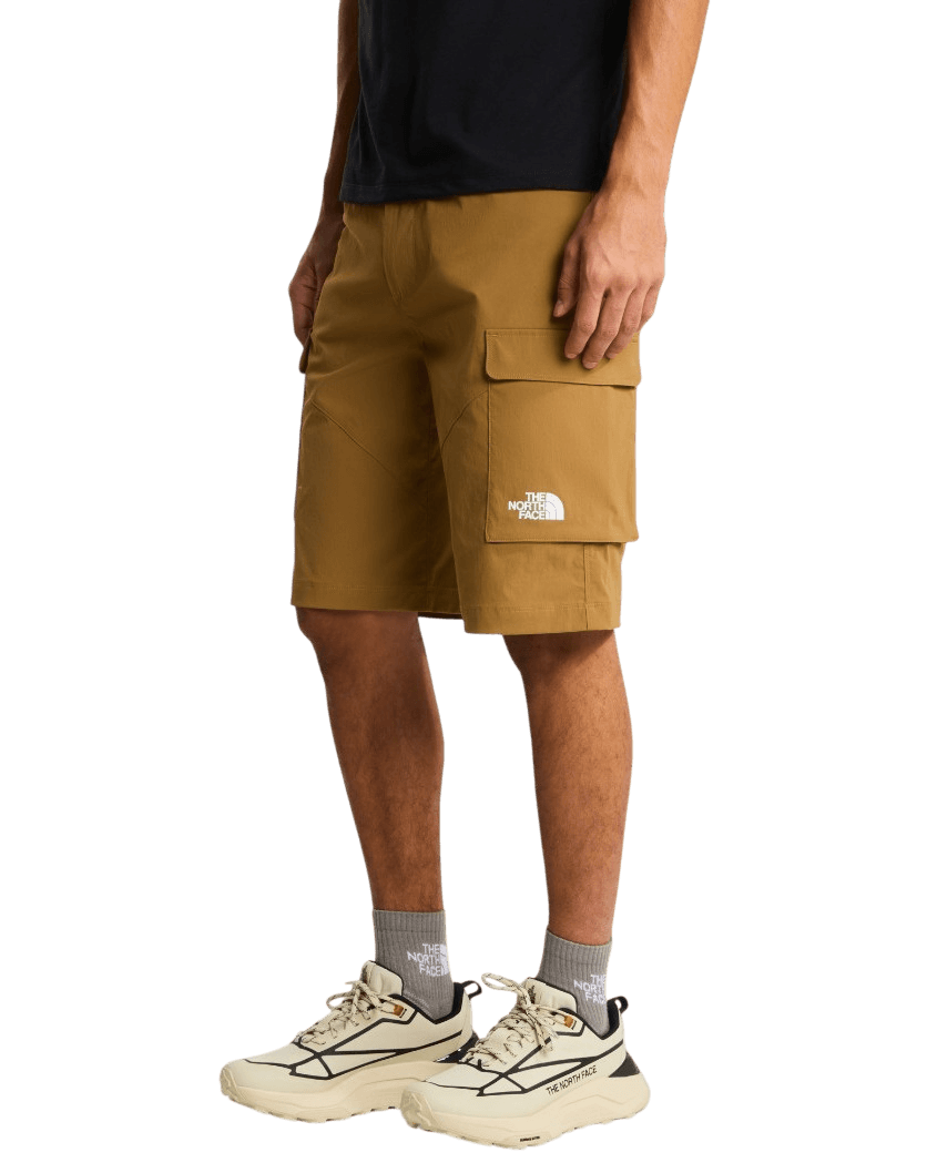 Men's Shorts The North Face Black