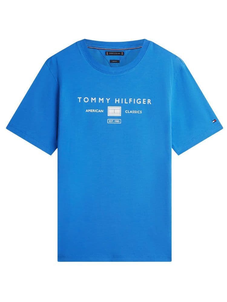 Ανδρικό T-shirt Μπλε Tommy Hilfiger MW0MW42365-C4U