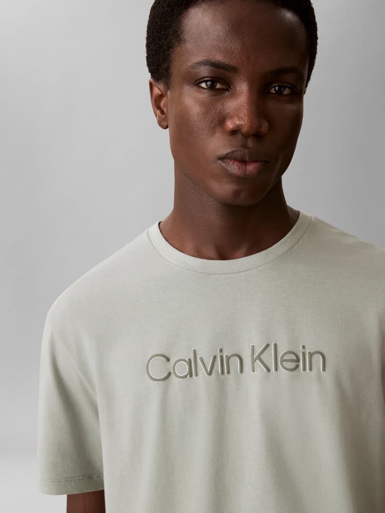 Men's T-Shirts Calvin Klein Gray