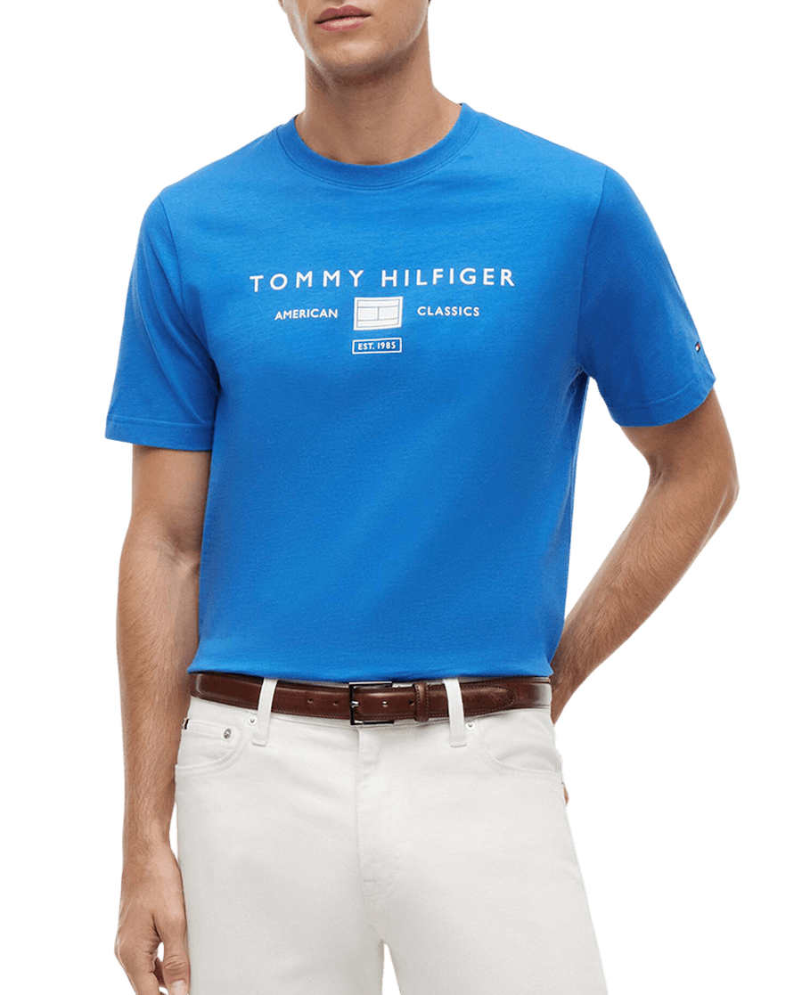 Ανδρικό T-shirt Μπλε Tommy Hilfiger MW0MW42365-C4U