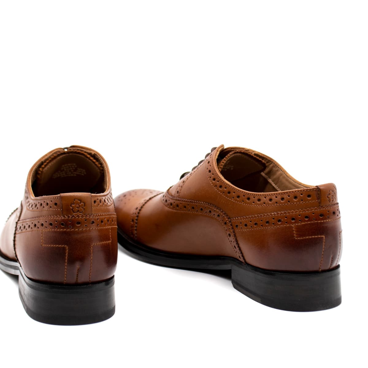 Ανδρικά Δερμάτινα Παπούτσια Arnie Core Ταμπά Ted Baker 260147-TAN