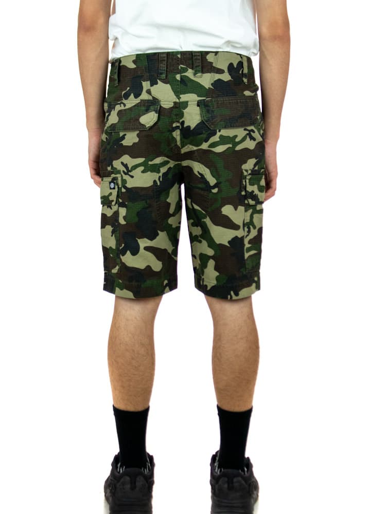 Dickies Bermouda