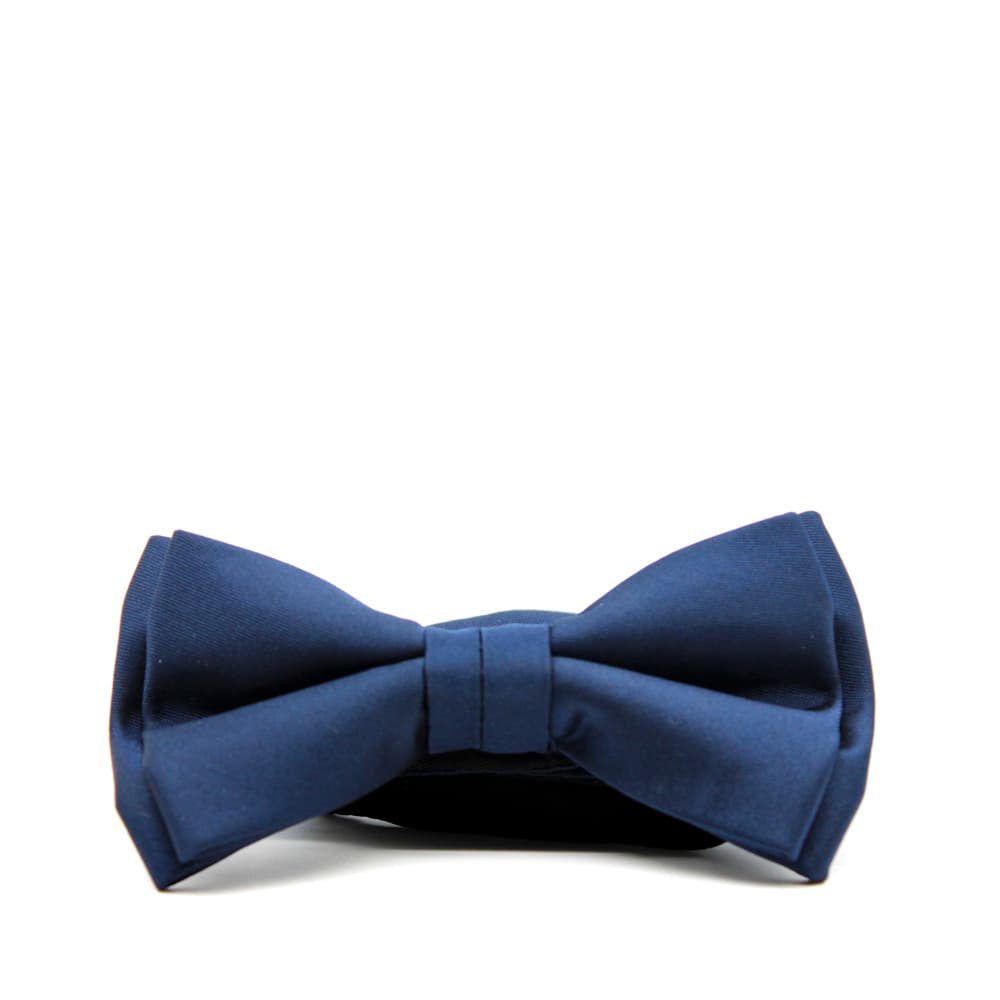 Men's Ties Stefano Mario Blue