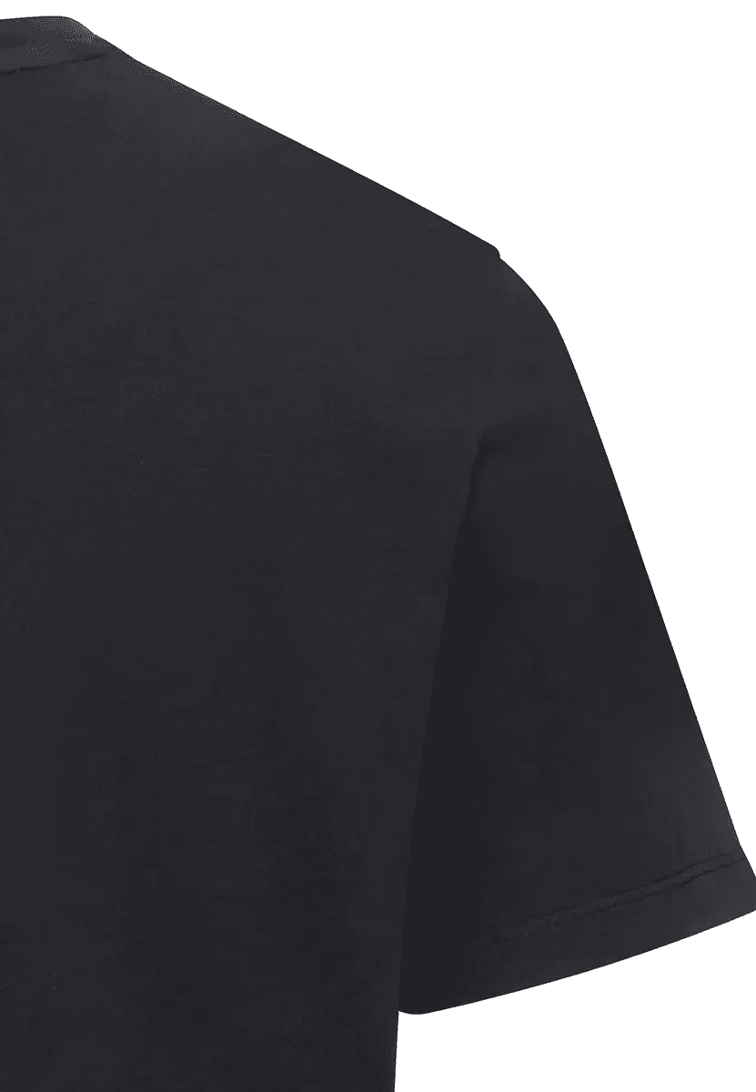 Men's T-Shirts Camel Active