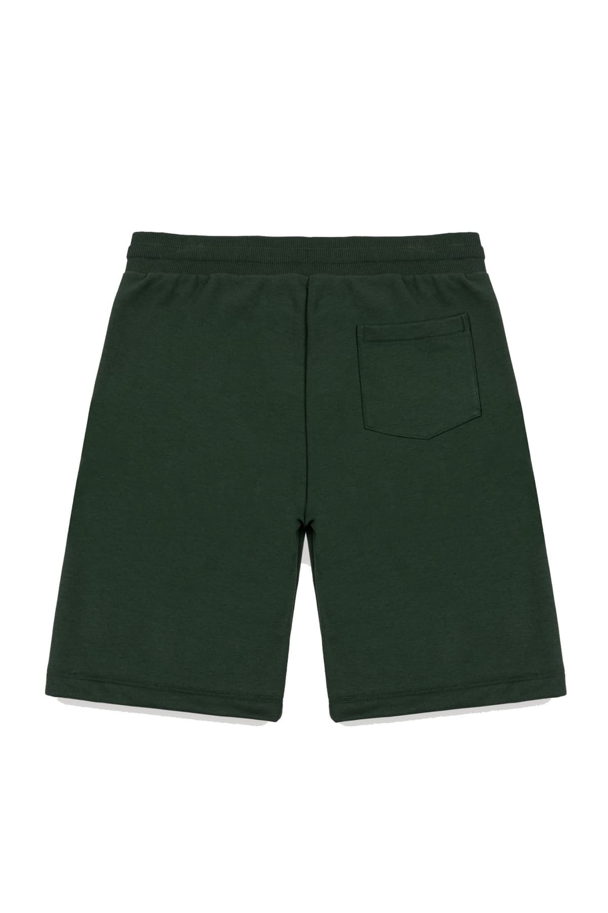 Men's Shorts Colmar Green