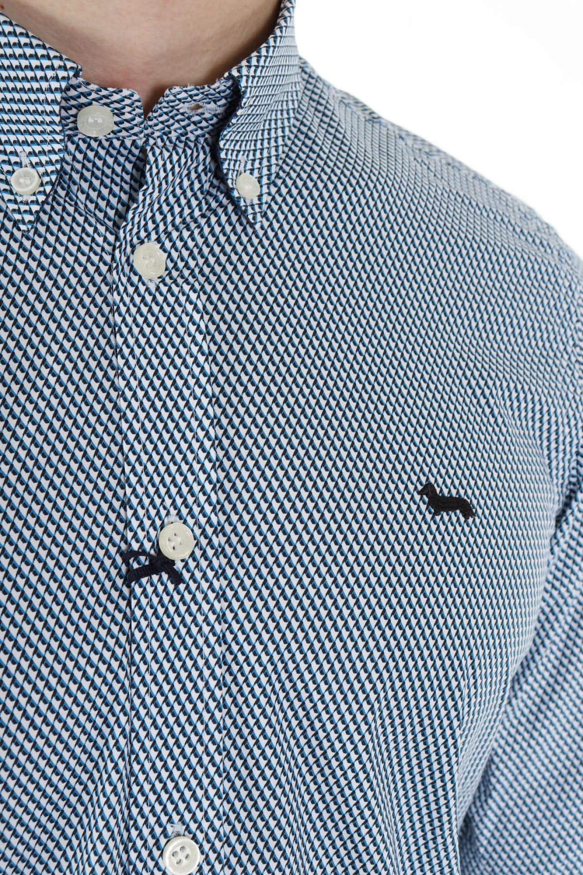 HARMONT & BLAINE ΠΟΥΚΑΜΙΣΟ BUTTON DOWN ΜΙΚΡΟΣΧΕΔΙΟ REGULAR FIT ΜΠΛΕ-ΛΕΥΚΟ