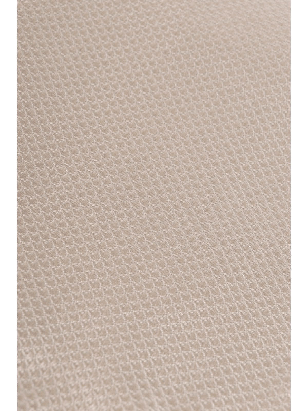 Men's Accessories Karl Lagerfeld Ecru