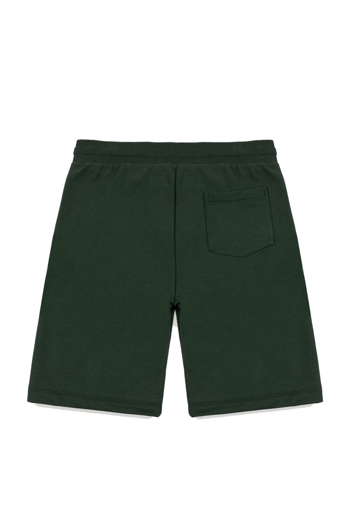 Men's Shorts Colmar Green