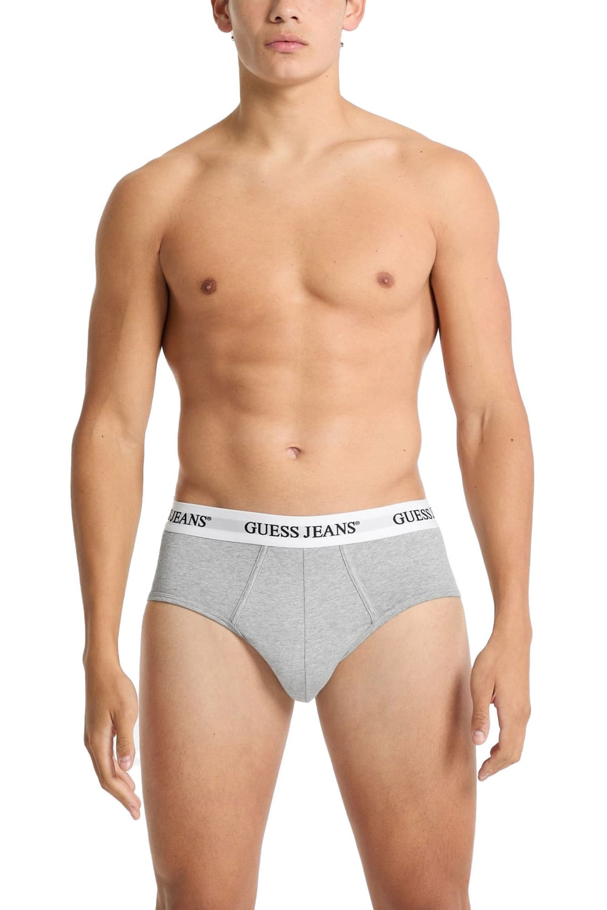 Men's Underwear Guess Jeans Gray
