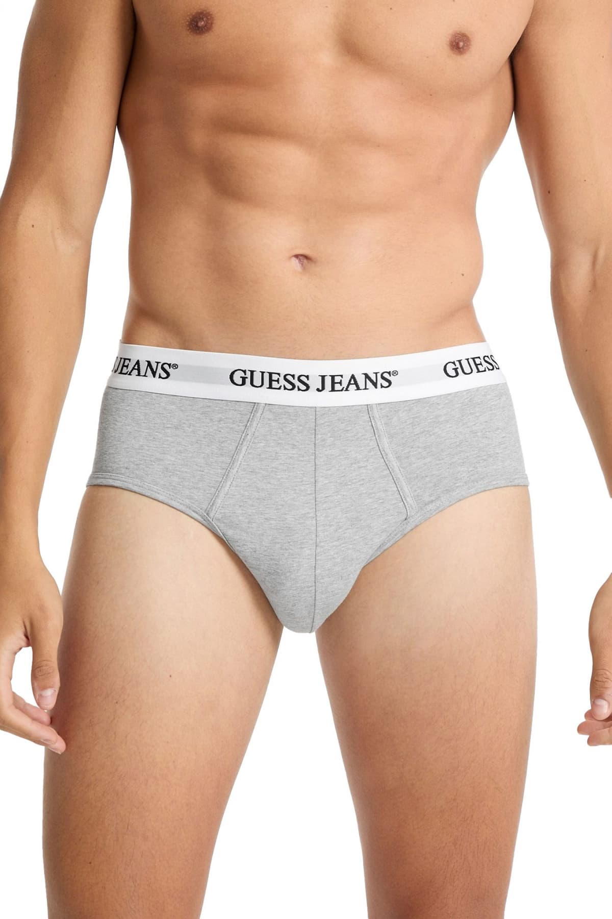 Men's Underwear Guess Jeans Gray