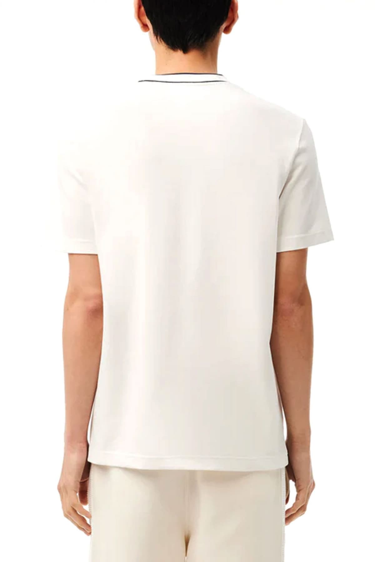 LACOSTE T-SHIRT REGULAR FIT LOGO ΥΠΟΛΕΥΚΟ